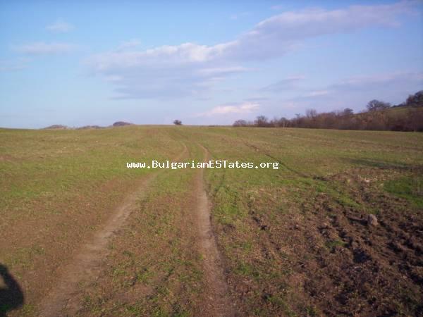 Agricultural land for sale located close to the village of Sadievo.