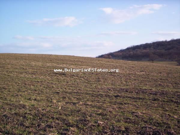 Land for sale located at the wonderful village of Sadiovo in Burgas region.