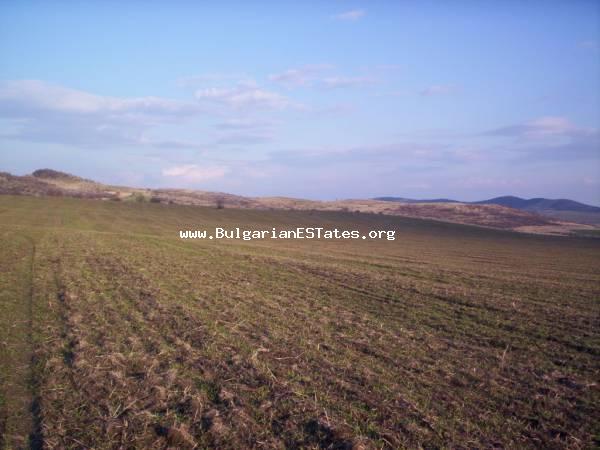 Agricultural land for sale located at the village of Sadievo in Burgas region.