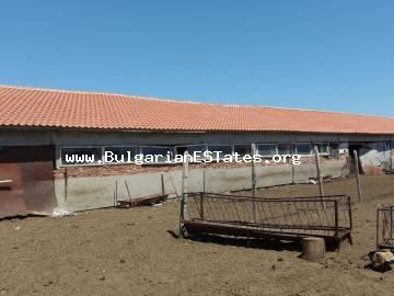 Farm property for sale in the village of Zimnitsa, 90 km from Burgas and 10 km from the town of Yambol.